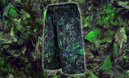 greenwizrd